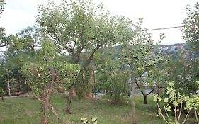Tutnovo 13
