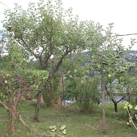 Appartamento Tutnovo 13 Fiume Esterno foto